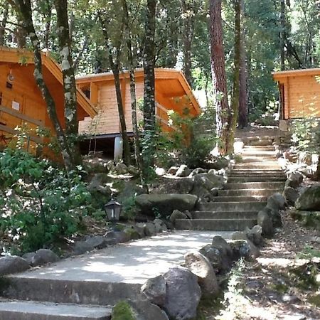 Auberge De La Foret Bonifatu Calenzana Exteriör bild