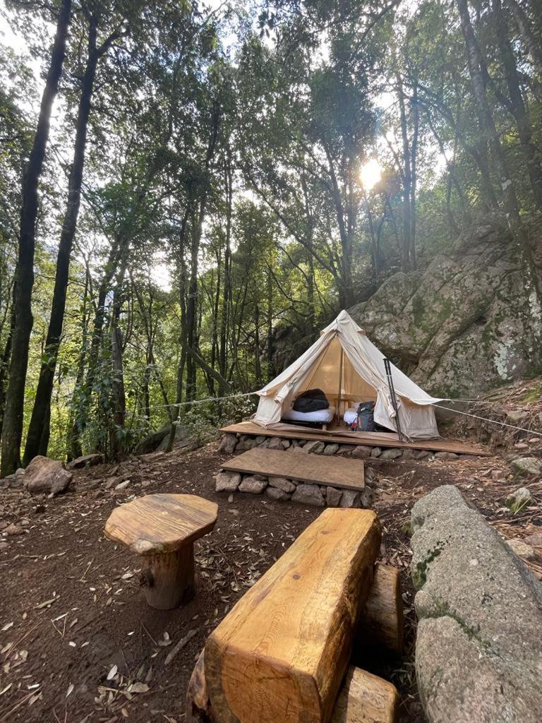 Auberge De La Foret Bonifatu Calenzana Exteriör bild